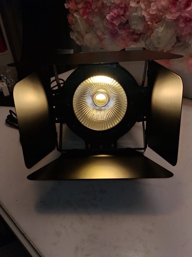 100w cob par - cob,